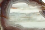 Polished Queensland Agate - Australia #323010-1